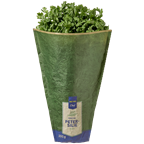 Petersilie glatt 300g