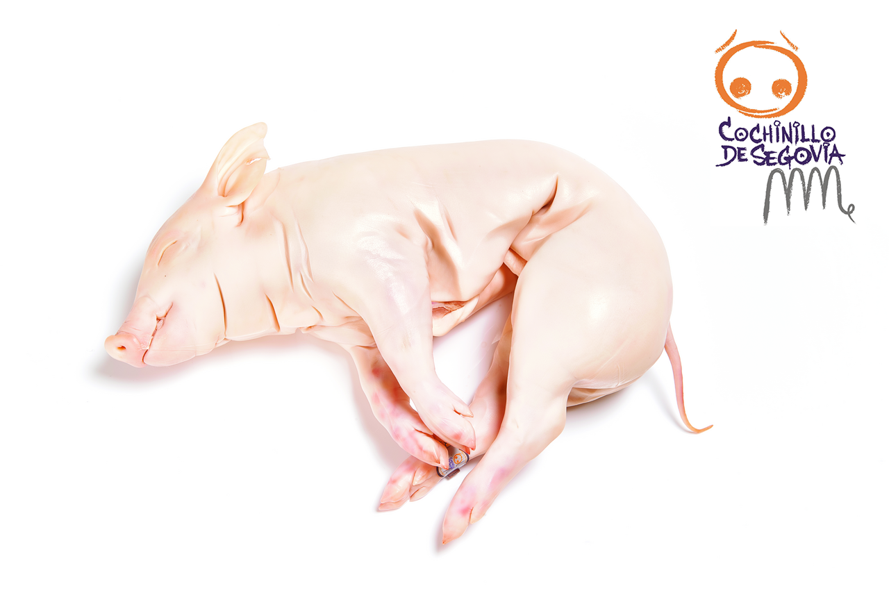METRO Premium Cochinillo de Segovia lechal 4-5 kg precio kg