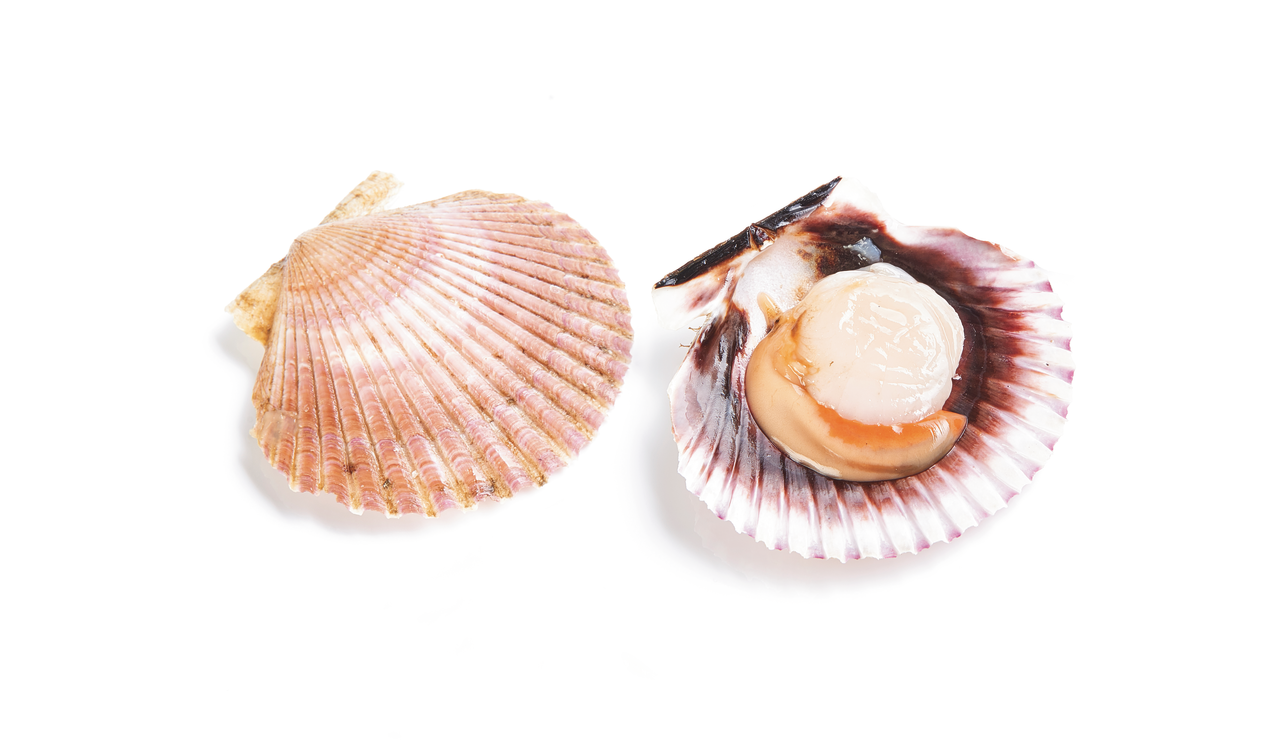 Vieira pacifico 1/2 en bandeja 250g contiene 6 ud