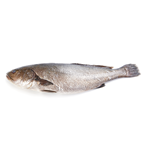 makro Chef corvina acuicultura 2-3 kg aprox. origen España.