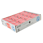 RIOBA mermelada fresa diet tar 20g x48