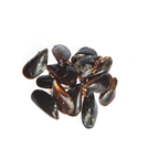 mejillón Roca 40-70piezas/kg FAO 37 Mediterráneo Mar Negro (1000 g aprox.)