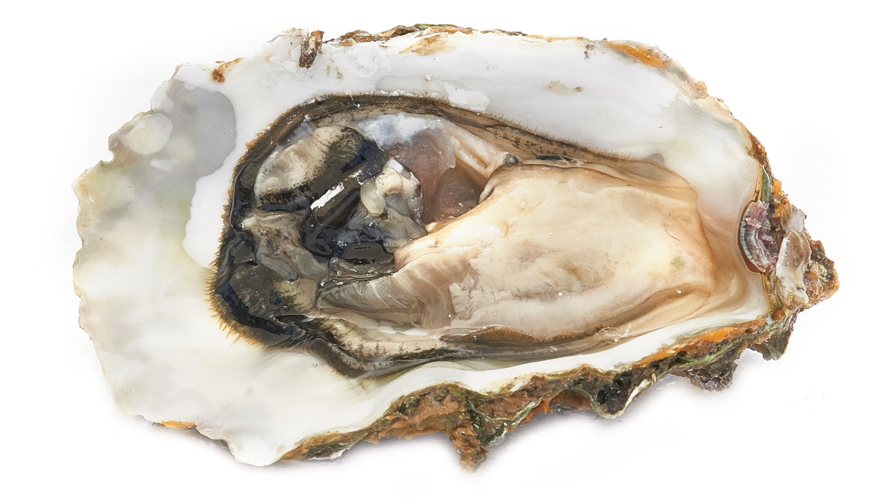 Ostra rizada 10-12 piezas/kg FAO 37 Mediterráneo Mar Negro,al peso (1000 g aprox.)