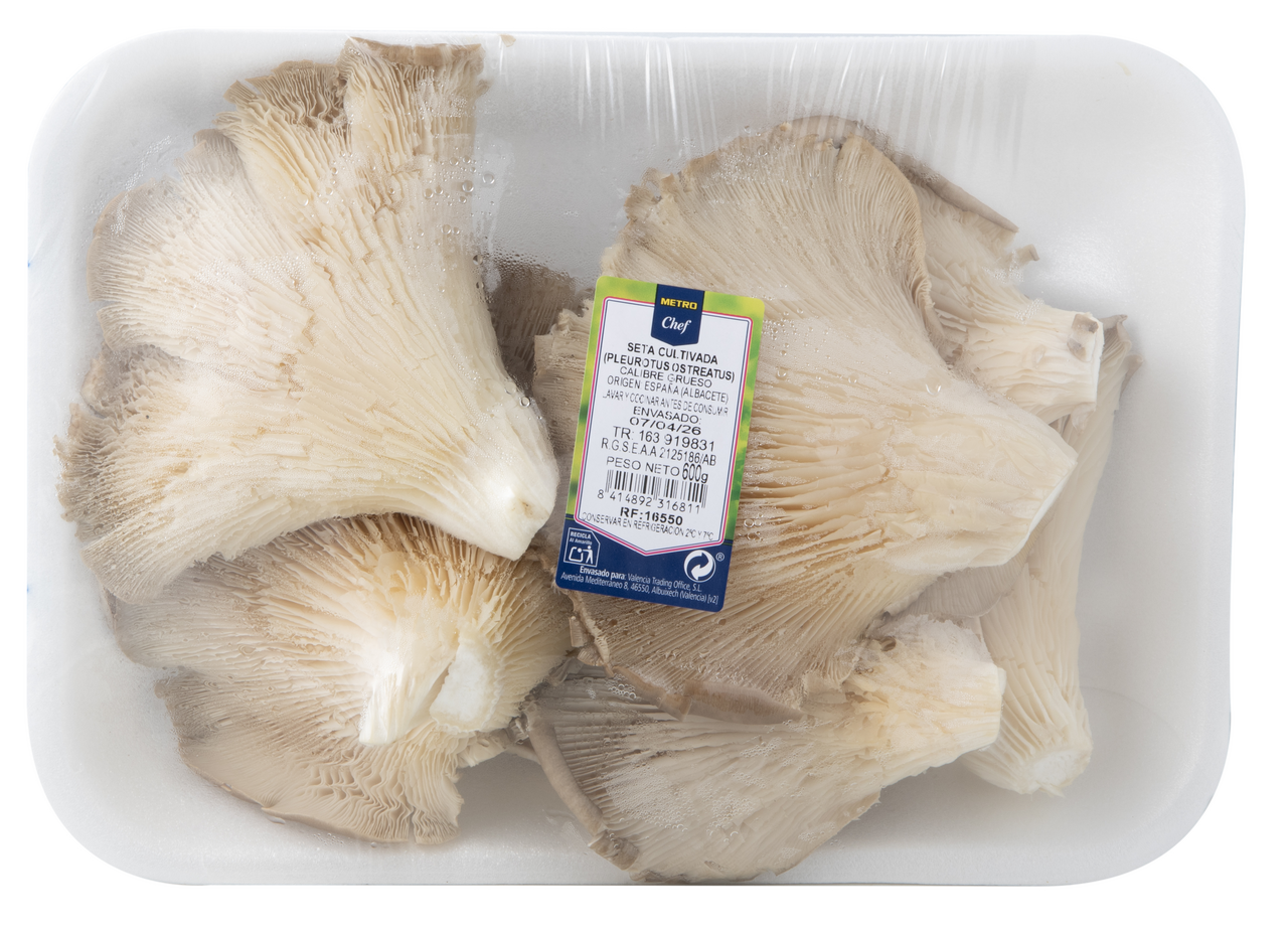 METRO Chef Seta especial plancha bandeja 600g