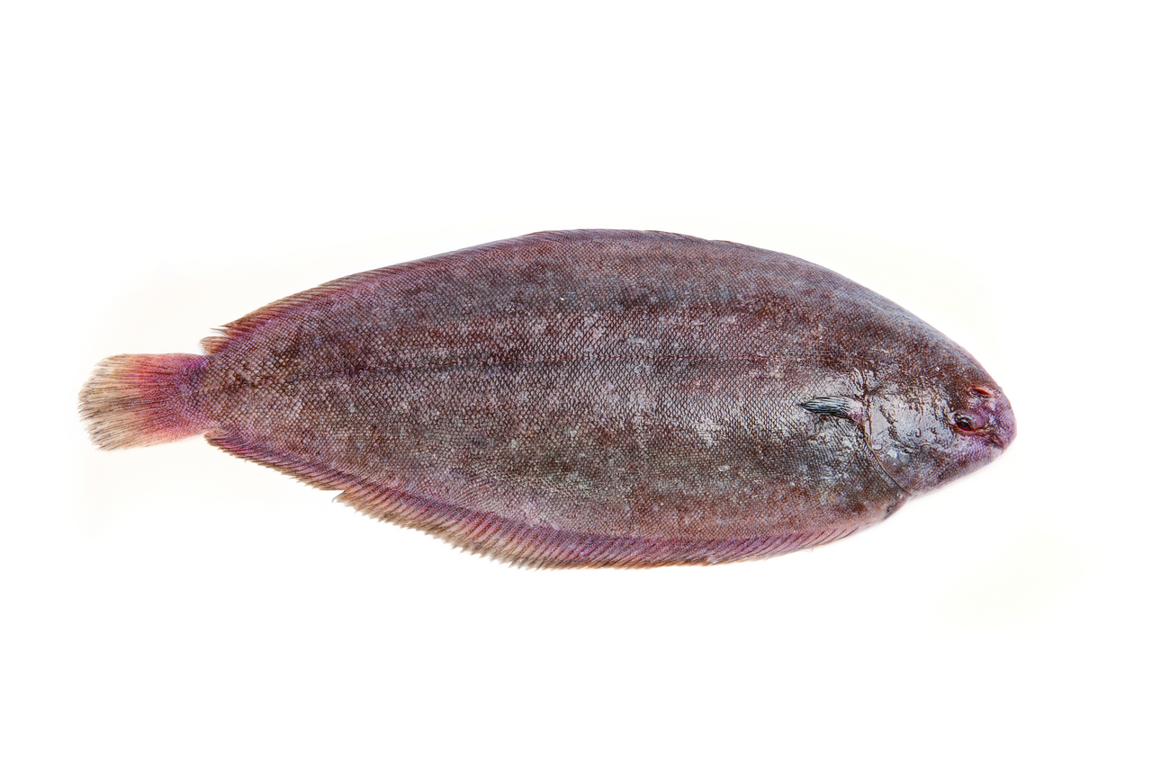 METRO Chef Lenguado de acuicultura 600-800g origen Francia