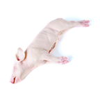 Cochinillo de 4 a 5 kg congelado Marca de Garantía precio kg