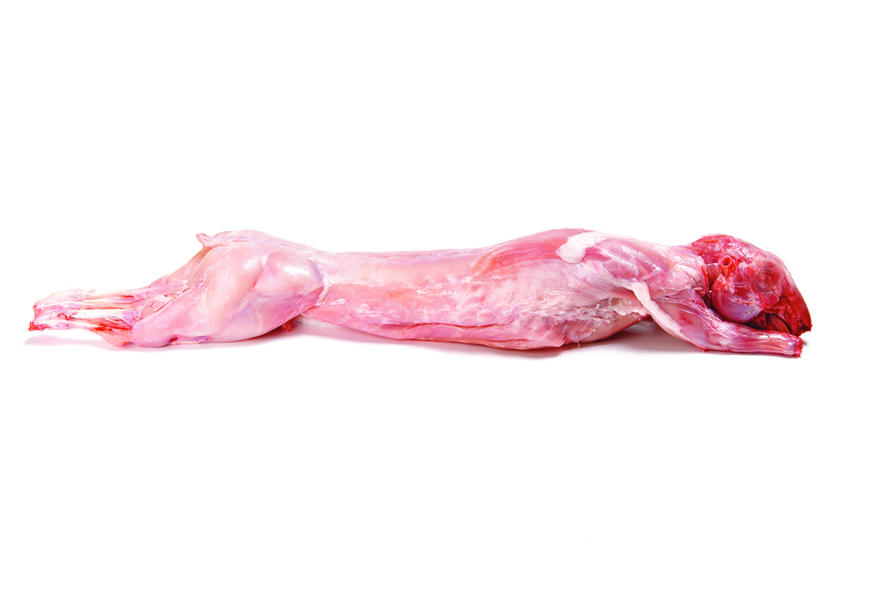 Conejo entero congelado 10 ud 1,2-1,6kg caja 14kg precio kg
