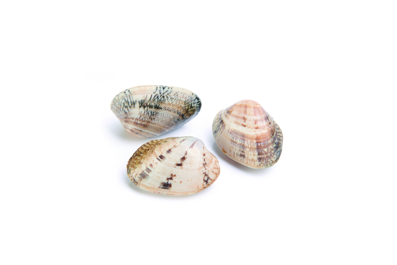 METRO Chef almeja japónica 30-35 piezas/kg FAO 27 Atlántico Noroeste (1000 g aprox.)