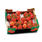 METRO Chef Tomate rama Calibre G caja 5kg