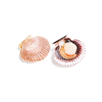 Volandeira bolsa de 15 unidades al vacio origen FAO27 Atlántico Noroeste (230 g aprox.)