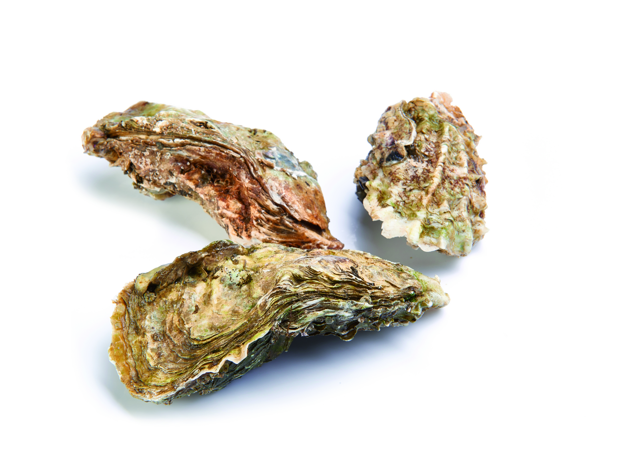 METRO Chef ostra claire numero 3 24 piezas de crianza en Francia (1100 g aprox.)