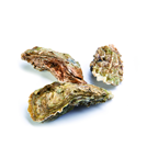 METRO Chef ostra claire numero 4 36 piezas de crianza en Francia (850 g aprox.)