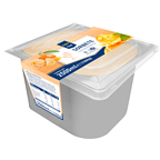 makro Chef Helado sorbete mandarina 2,5 L