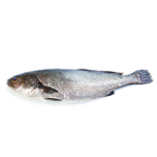 makro Chef CORVINA 4/5 KG DE CRIA GR