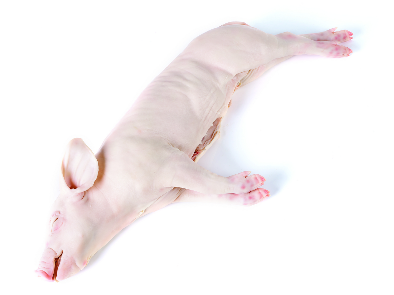 Cochinillo 5-6 kg precio kg | Makro