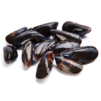 mejillón +50 piezas/kg criadero España (1000 g aprox.)
