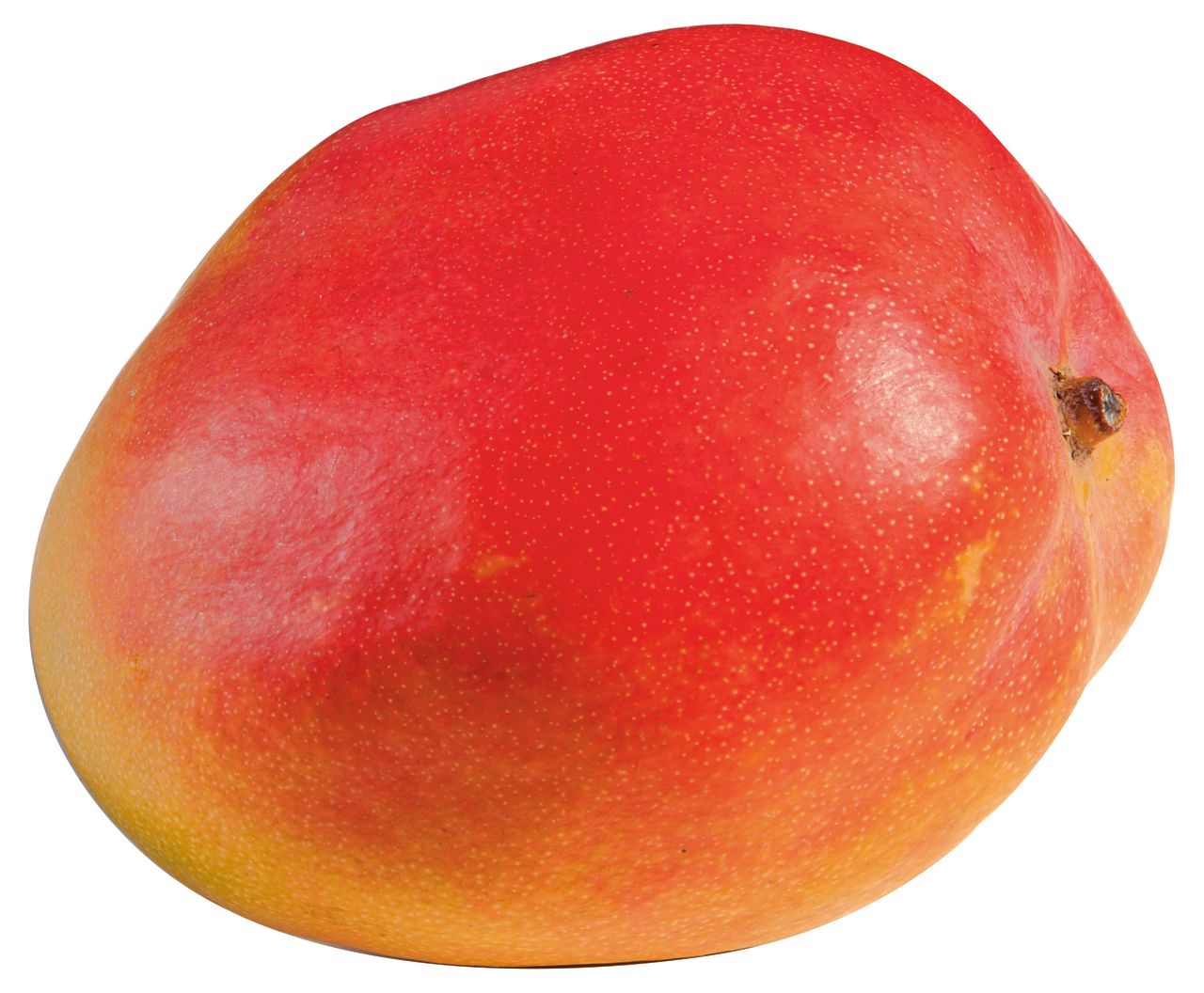 Mango irwin pieza