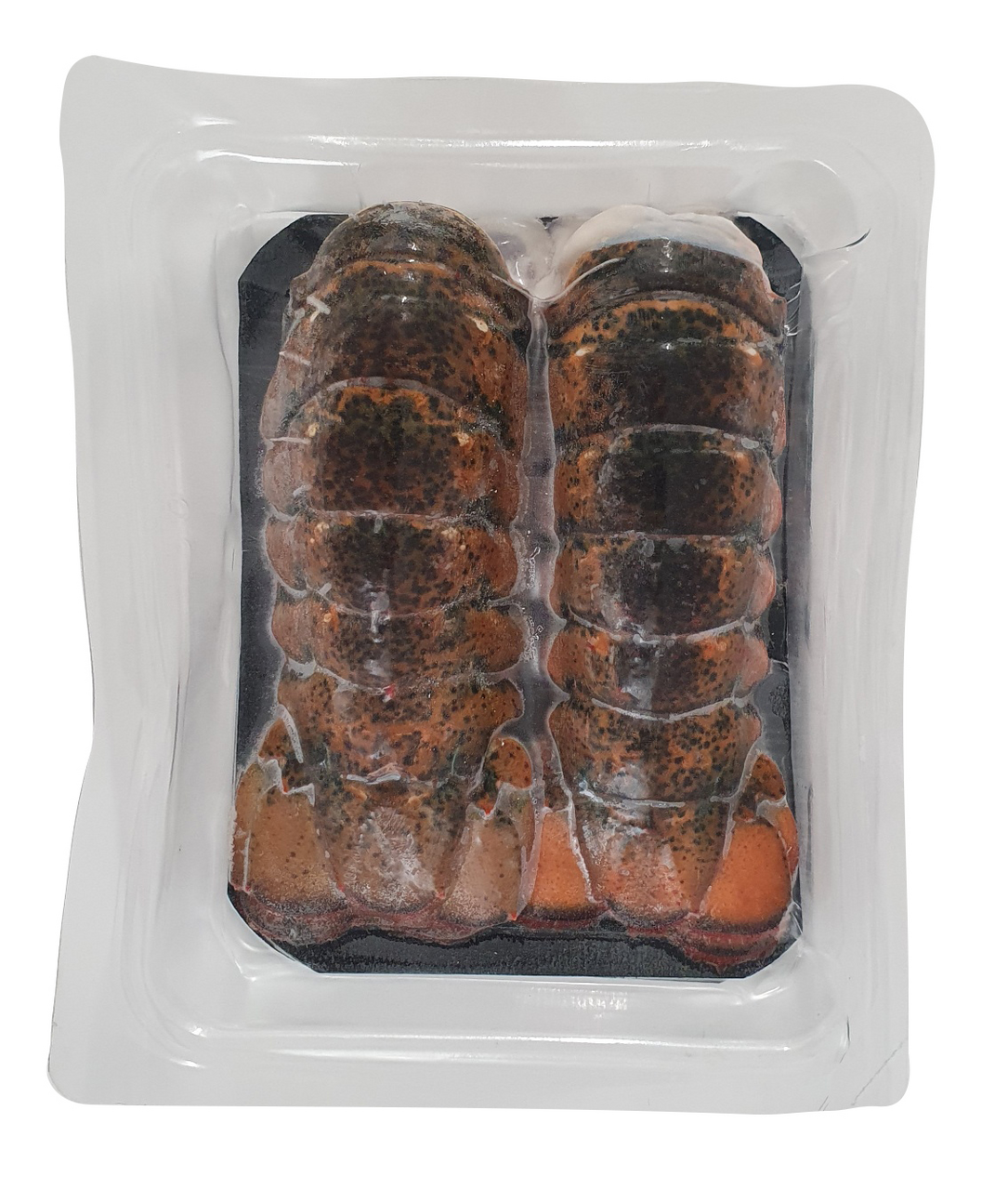 Scanfisk Seafood cola bogavante con piel MSC 90/120 bandeja 2 unidades (220 g)