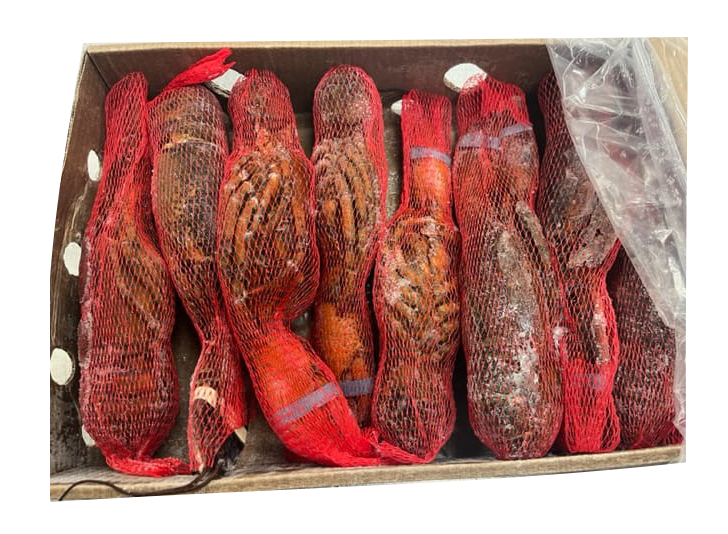 Scanfisk Seafood bogavante crudo sin patas 250/450 piezas 5 kg congelado