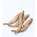 Langostino Vanna de Cría, cocido 40-60 piezas/ kilo