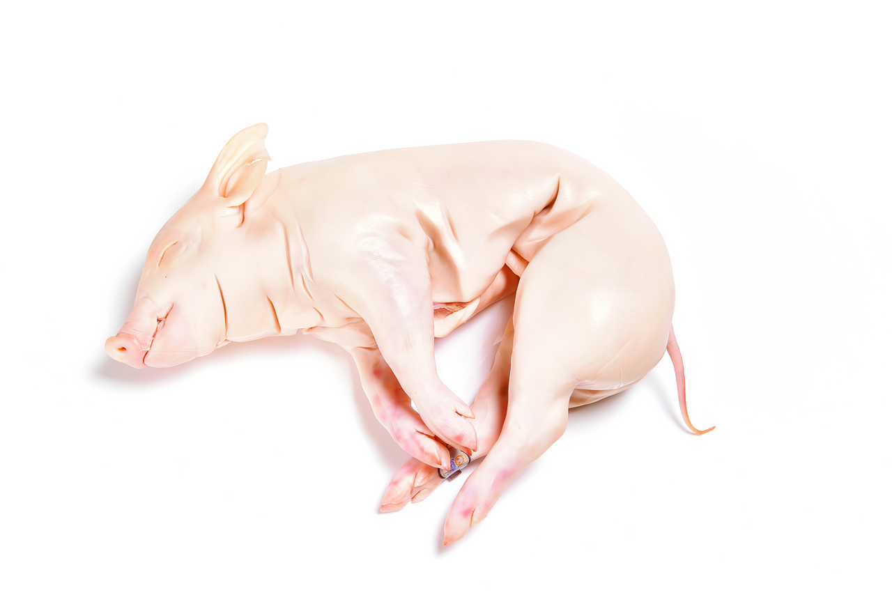 METRO Chef Cochinillo 4-5 Kg congelado