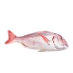 METRO Chef pargo de Cria Origen Grecia de 0,6 a 0,8 Kg