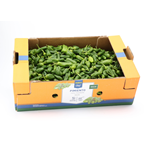 METRO Chef pimiento pequeño francia dulce caja 6 kilos