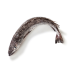 Merluza volanta 2/3 kg FAO27