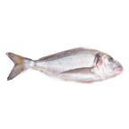 METRO Chef Dorada de cria limpia 0,4-0,6 kg