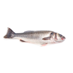 METRO Chef Lubina de cría limpia 0,4-0,6 kg
