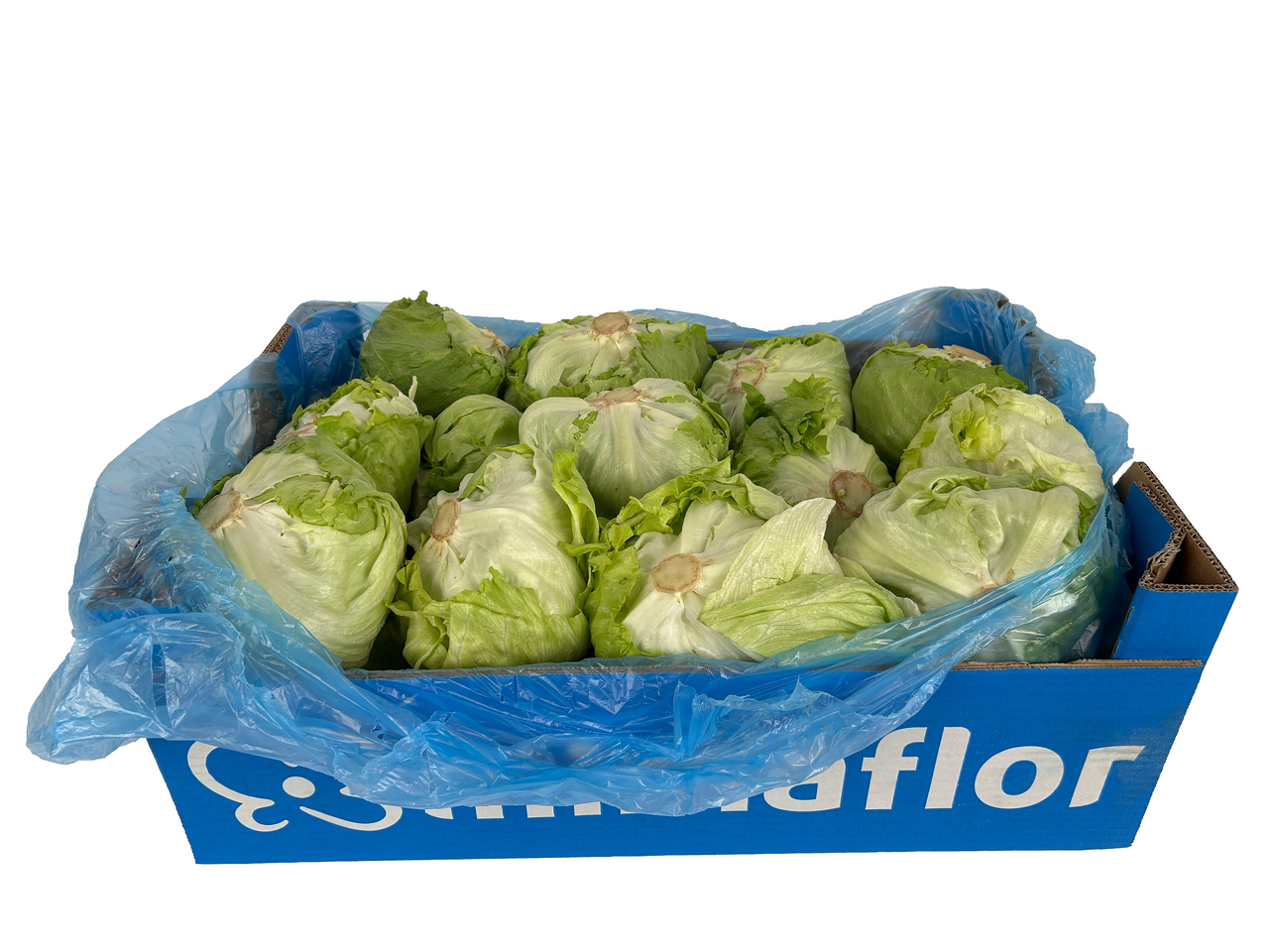 NEUTRAL lechuga iceberg caja (8,700 g )