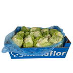 NEUTRAL lechuga iceberg caja (8,700 g )