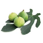 Higo blanco primera peso 3 kg