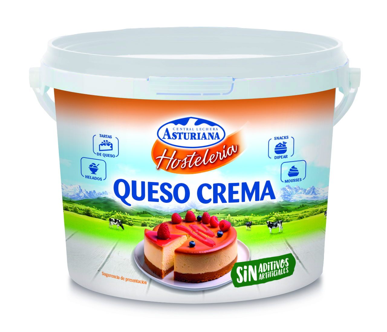 Central Lechera Asturiana Crema queso natural 2 kg