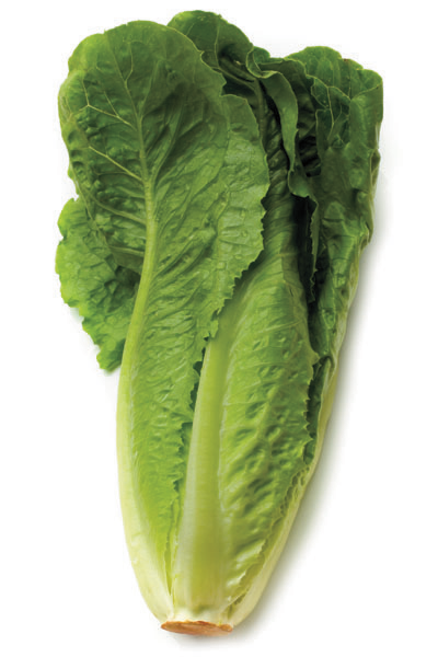 Lechuga romana en bandeja 2u