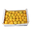 makro Chef Limón 2A C-2/6 caja 9kg