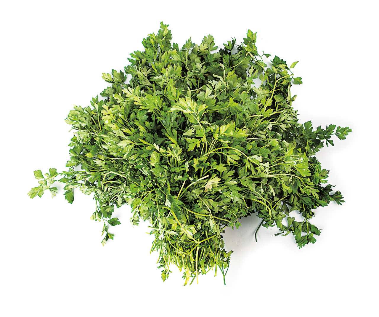 Perejíl a granel en manojo 800g