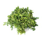 Perejíl granel manojo 800g