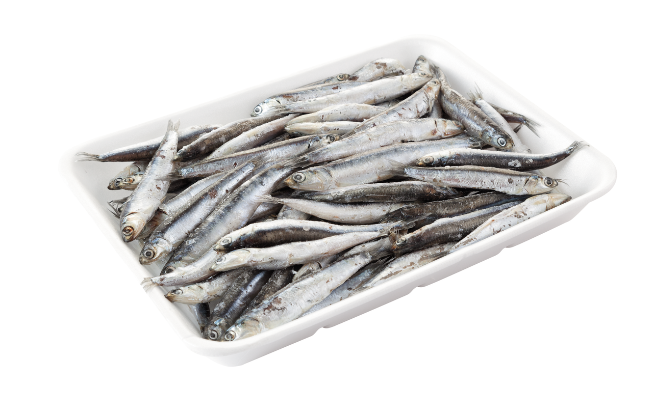 Boquerón mediano 60-90 piezas/kg FAO37 origen Mar Negro