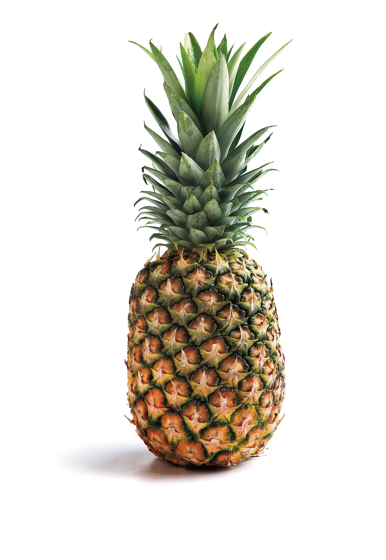 Piña gold de selección calibre 6 categoría I pieza