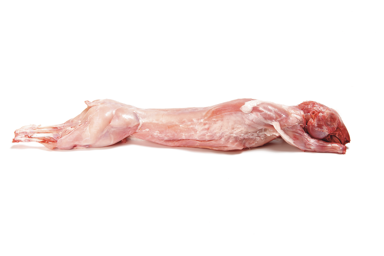 METRO Chef Conejo eviscerado 1,2-1,4 Kg precio Kg