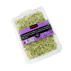 Germinado de cebolleta bandeja 95 g