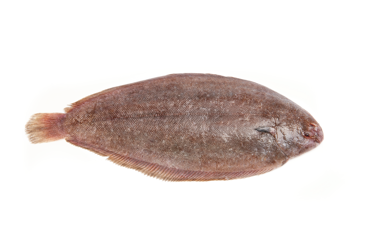 METRO Chef Lenguado acuicultura 300-400g origen Francia