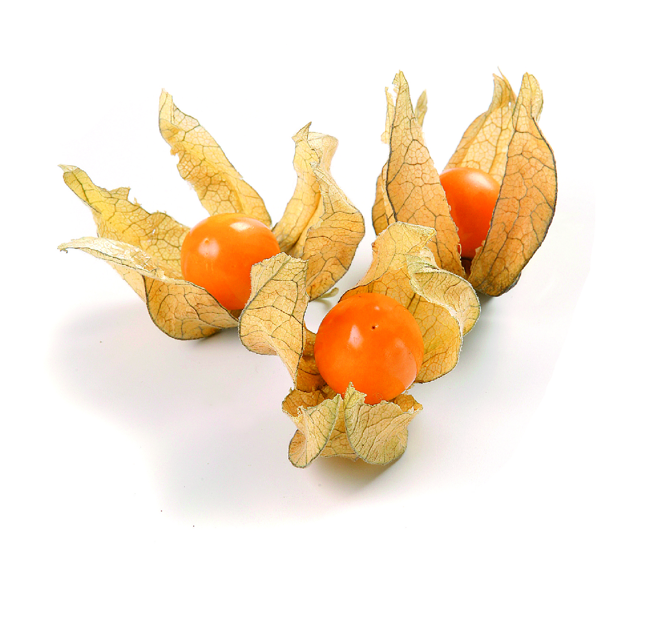 Physialis en tarrina 100g