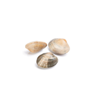 makro Chef almeja fina contiene 50-55piezas/kg FAO 27 Atlántico Noroeste (1000 g aprox.)