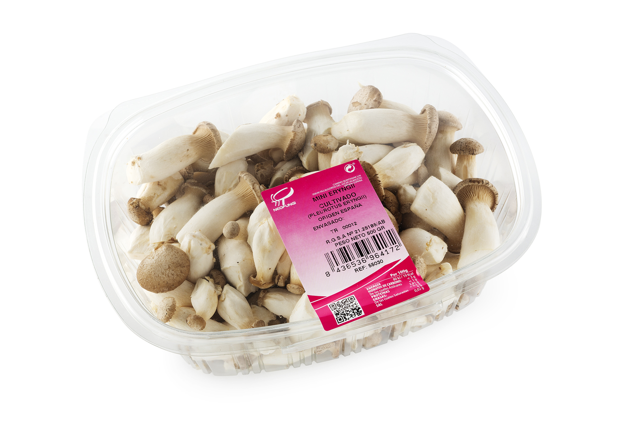 Seta cardo Eryngii mini en tarrina 500g