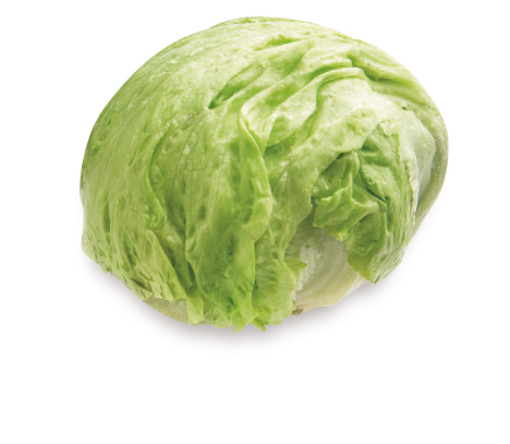 METRO Chef Lechuga iceberg Calibre 9