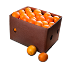 Naranja de campo, calibre 6/8 en caja de 9,5kg