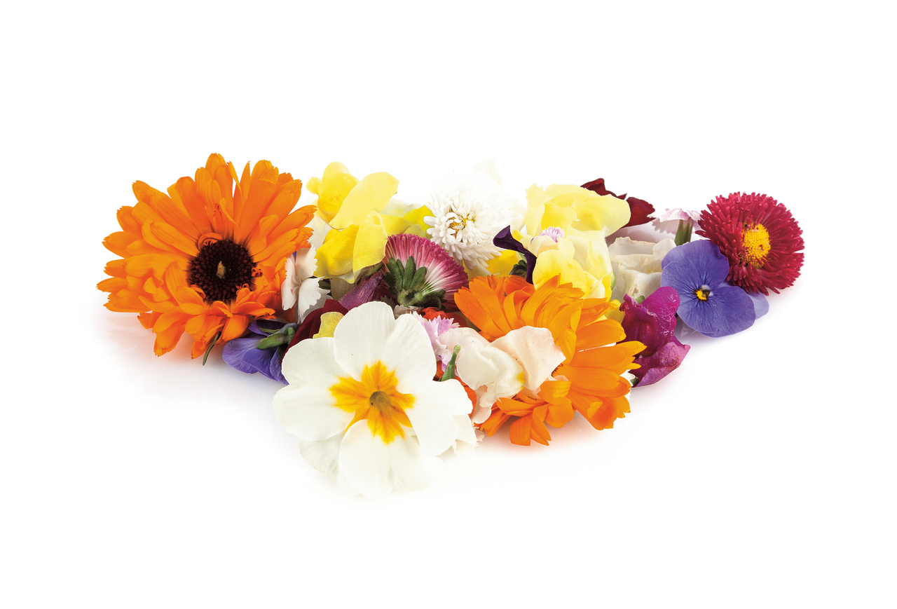 Mix de flores comestibles en estuche 20g