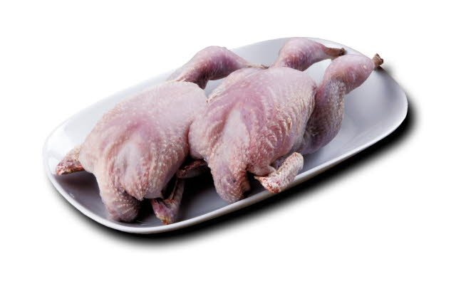 Perdiz congelada calidad extra caja 2 ud 300g